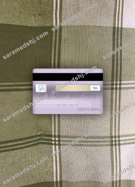 USA Ally bank visa classic card photolook back